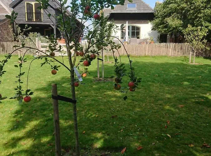 De Linge Bed and breakfast