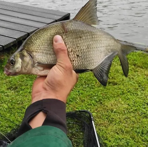 Bed and breakfast De Linge