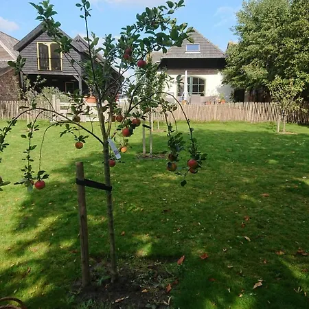 De Linge Alojamento de Acomodação e Pequeno-almoço